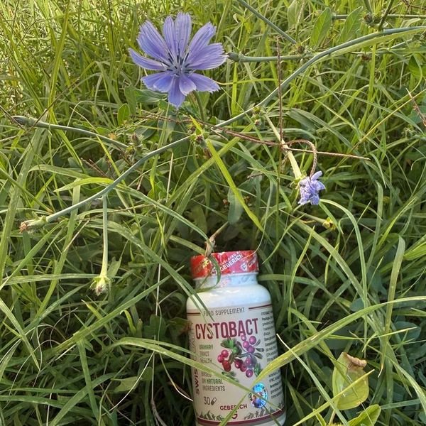 Flacone di Cystobact con tappo rosso appoggiato nell'erba